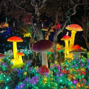 Meet your Posher, Jeordi